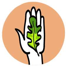 Dibujo de manos sosteniendo un vegetal organico