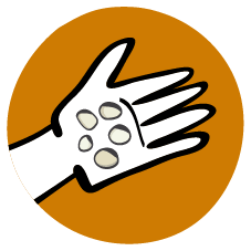 Dibujo de manos sosteniendo semillas organicas