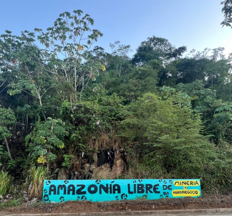 Rurrenabaque, Bolivia, fue el anfitrión del XI Foro Social Panamazónico (FOSPA), brindando un espacio crucial para discutir la soberanía alimentaria y la agroecología en la Amazonía