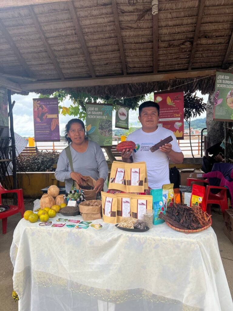 Productores del Norte de La Paz, con alternativas sostenibles (Sistemas Agroforestales de producción y recolección)
