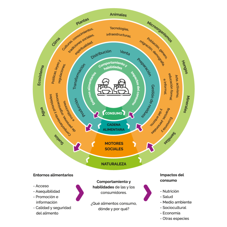 El sistema alimentario desde el rol del consumo, Cosecha Colectiva 2024