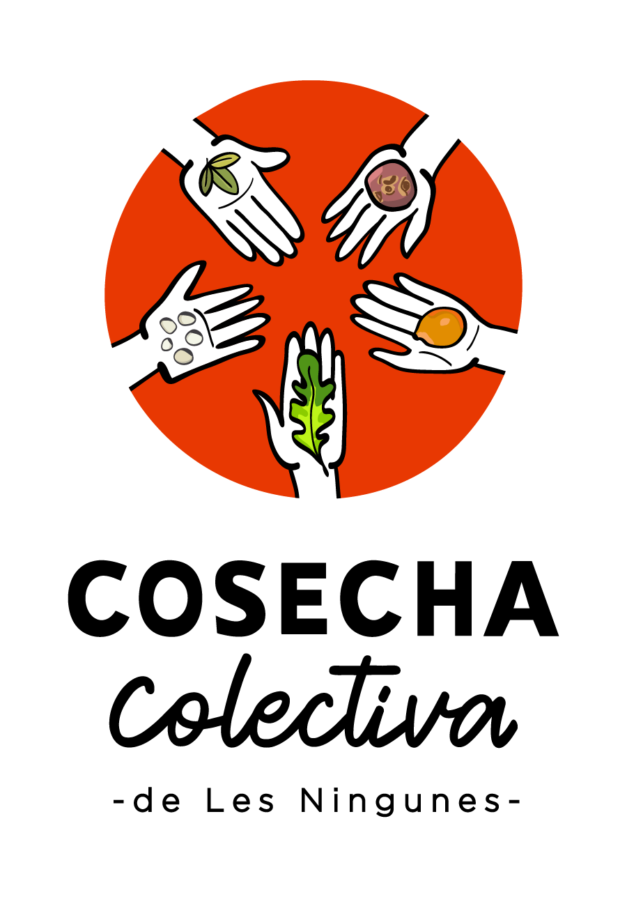 LOGO FINAL COCO chico sin fondo-01