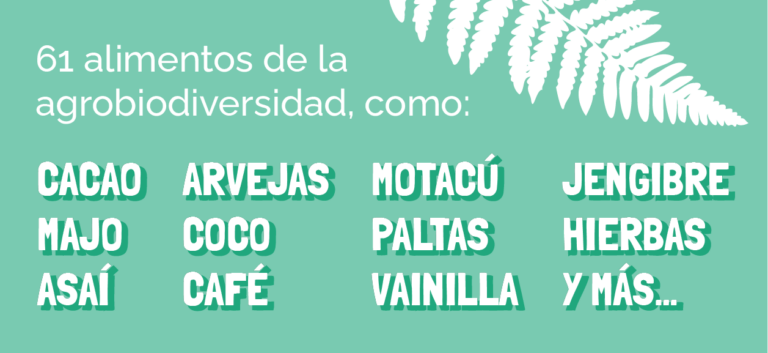 alimentos ofrecidos en el festival 2024 por familias productoras locales