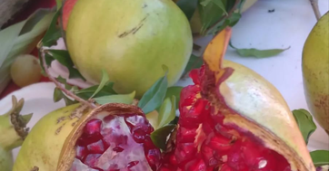 alimento-de-temporada