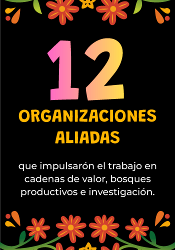 Datos recolectados Festival Somos Bosques 3