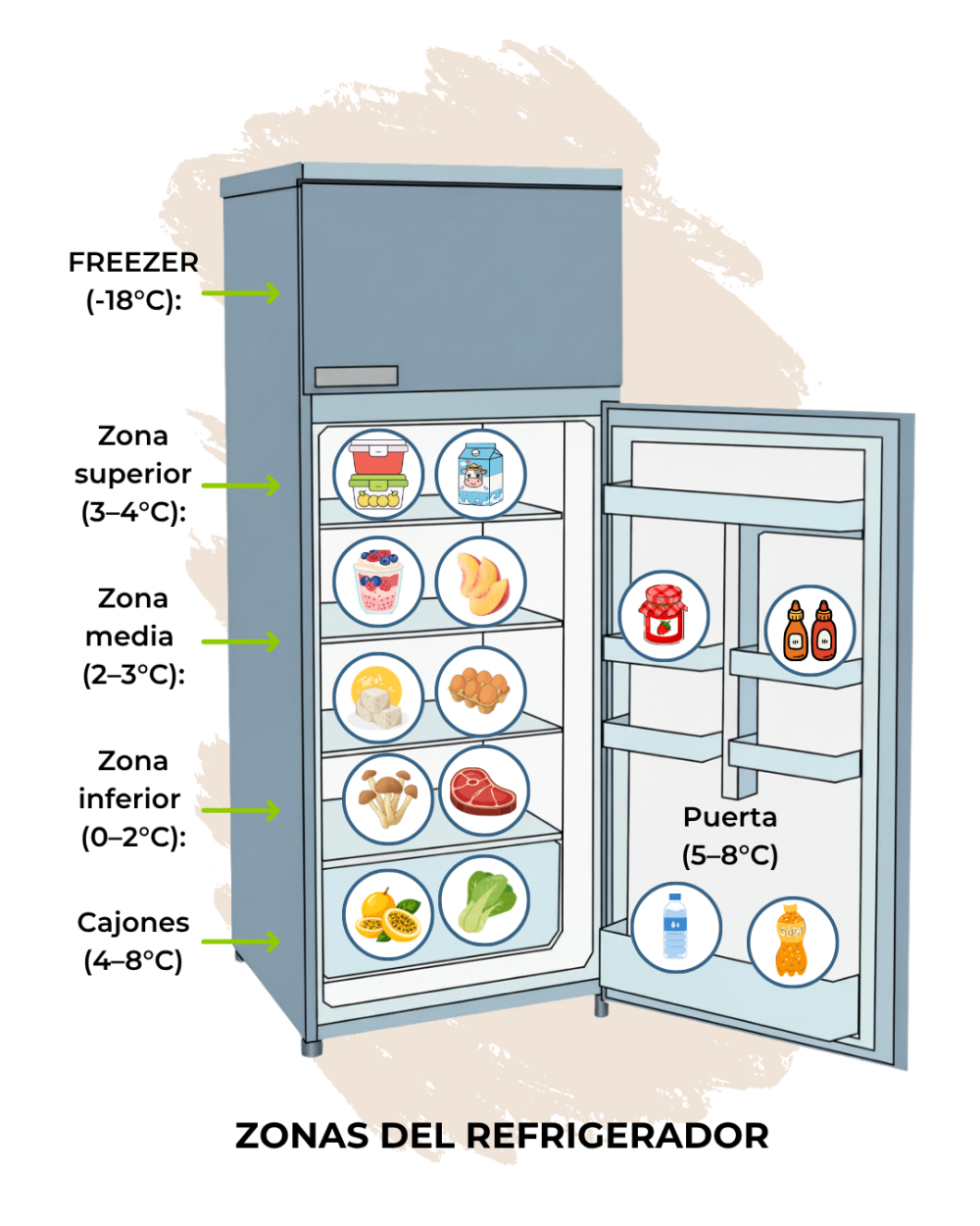 zonas de refrigerador