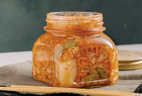 alimentos fermentados