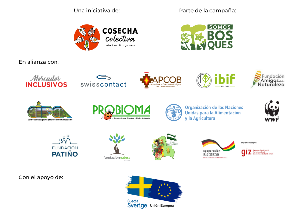 Logos alianzas fest somos bosques