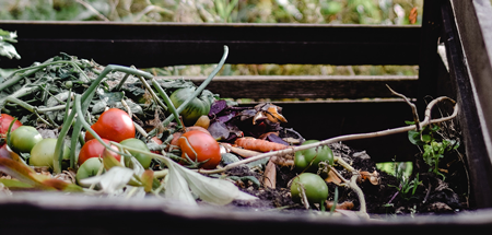 Imagen10: Blog compost