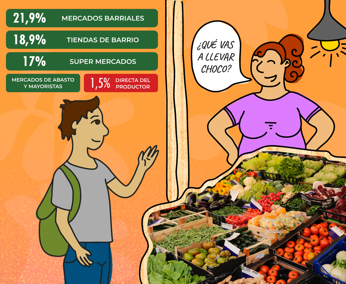 Gráfico 11: Estudio de consumo SCZ