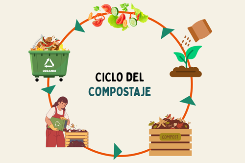 Imagen11: Blog compost