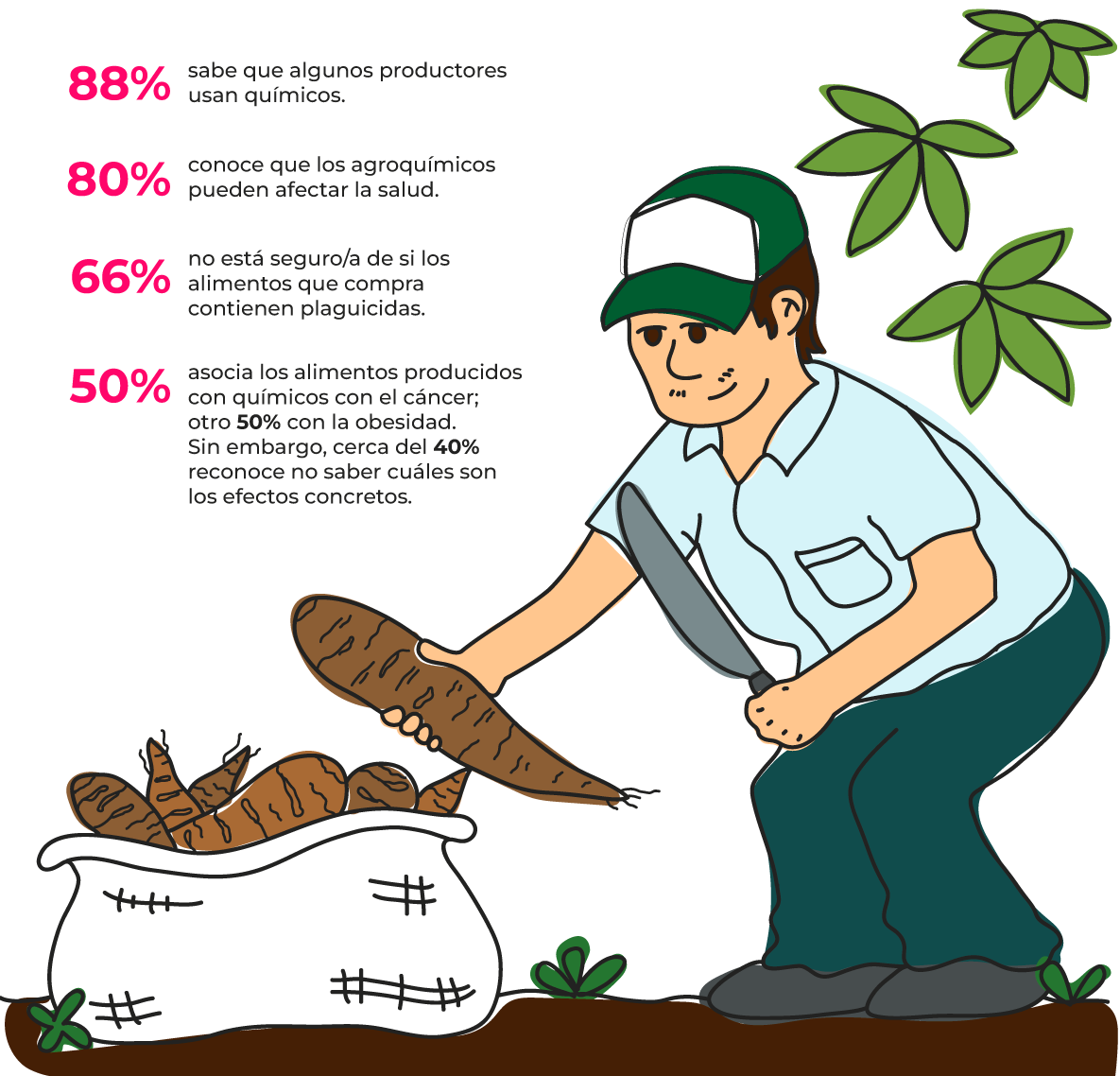 Gráfico 19: Estudio de consumo SCZ