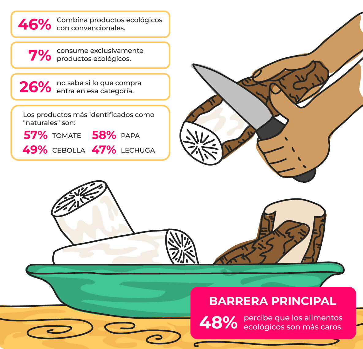Gráfico 29: Estudio de consumo SCZ