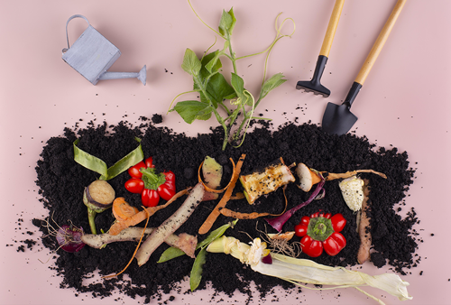 Imagen4: Blog compost