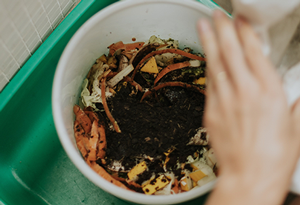 Imagen8: Blog compost
