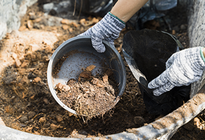 Imagen9: Blog compost